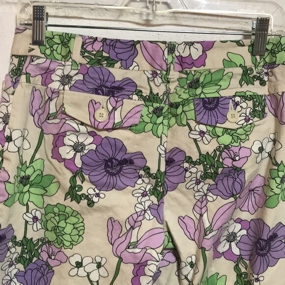 Ann Taylor Loft Capris 4 PT - Picture 6 of 7